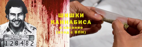 спиды Богородицк