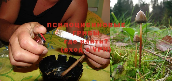 каннабис Богданович