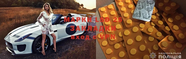 индика Баксан